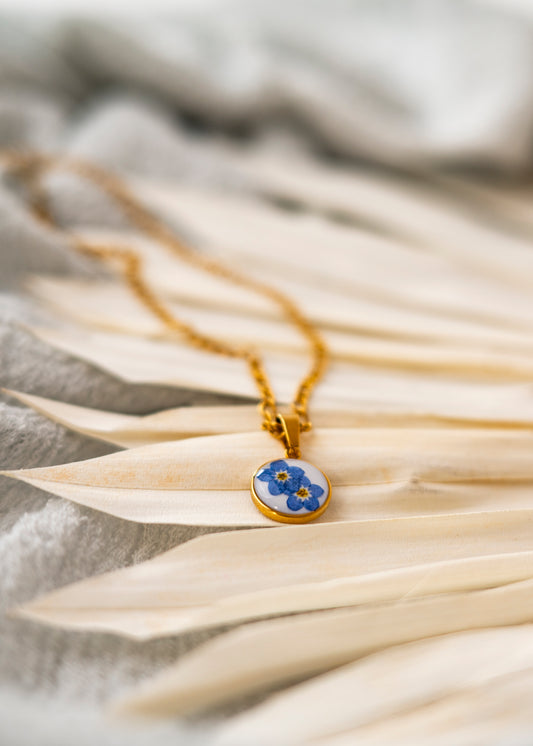 Joyas con flores secas nomeolvides