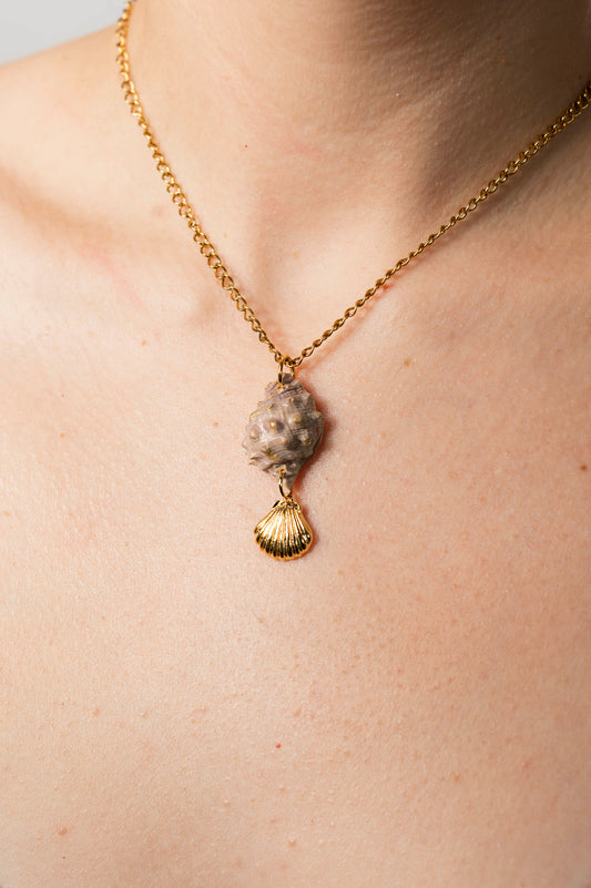 Colgante caracola rosada con tonos dorados