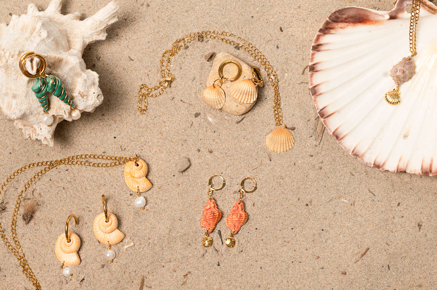 Colección conchas de mar